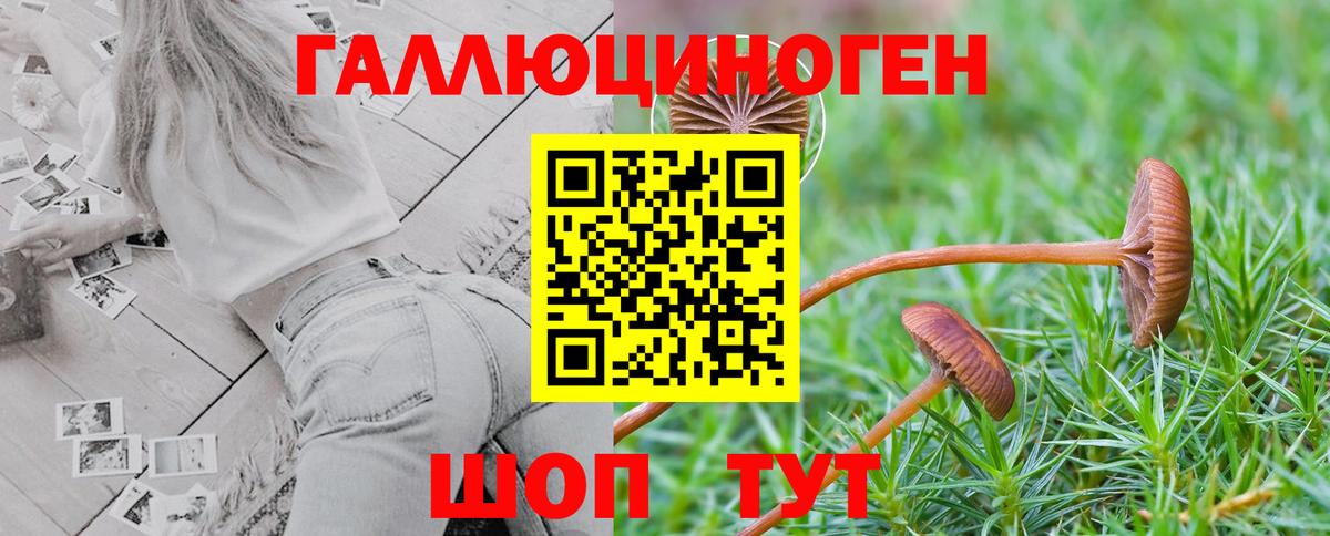Галлюциногенные грибы мицелий  Вход с VPN  Туймазы 
